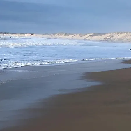 Calme, Nature, Vitalite. Venez Vous Ressourcer Pres De L'ocean * Grayan-et-l'Hopital